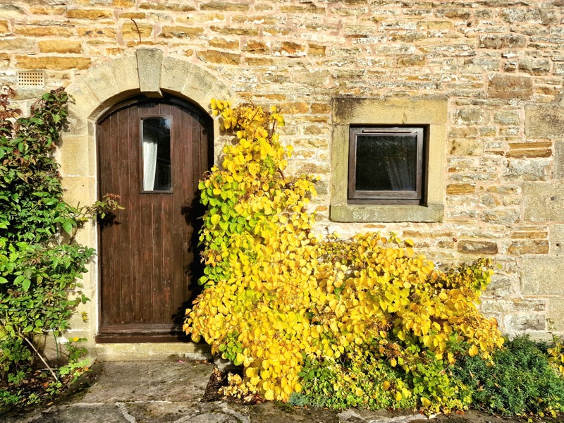 Photo 1: Exterior