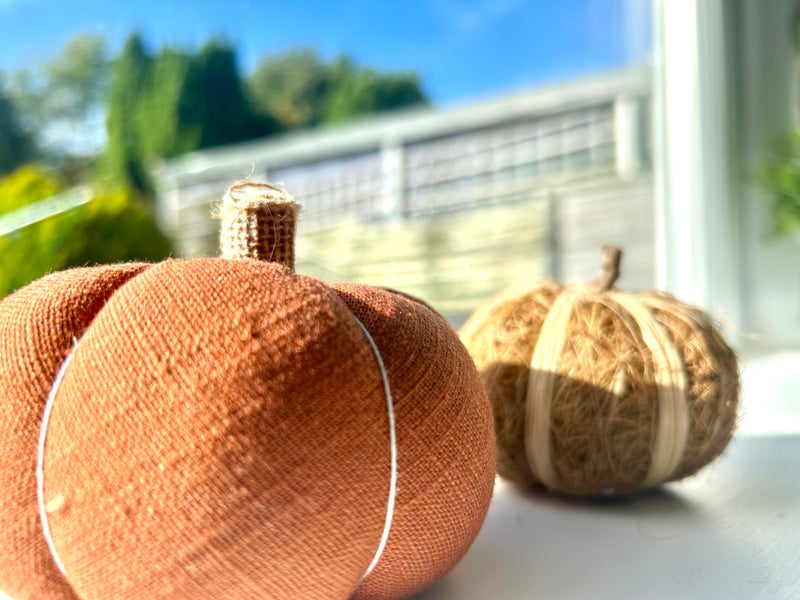Photo 1: Pumpkin perfect - call today!