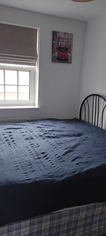 Photo 1: good size bedroom with fridge & tv