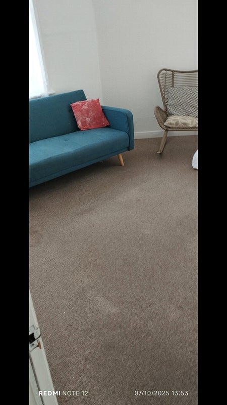 Photo 1: Sofa bed