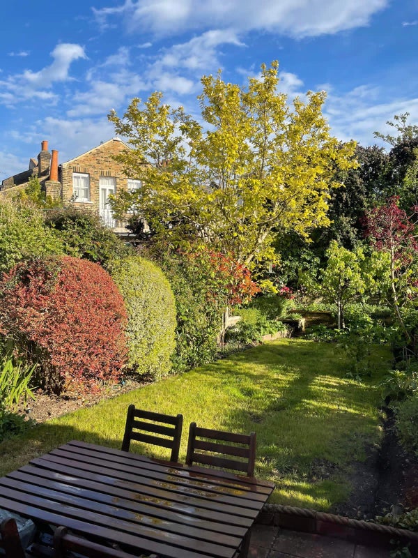 Photo 1: Garden