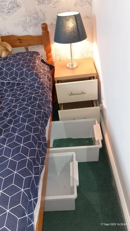 Photo 1: under bed storage and small drawer