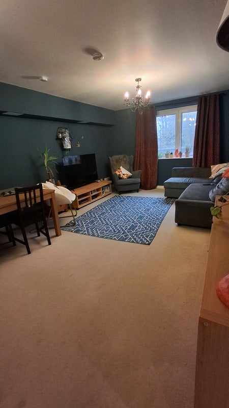 Photo 1: Living room. Note the couch. You can pull it out to make a double sized bed. Great for watching TV