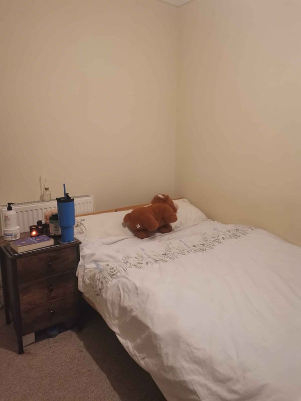 Photo 1: Bedroom