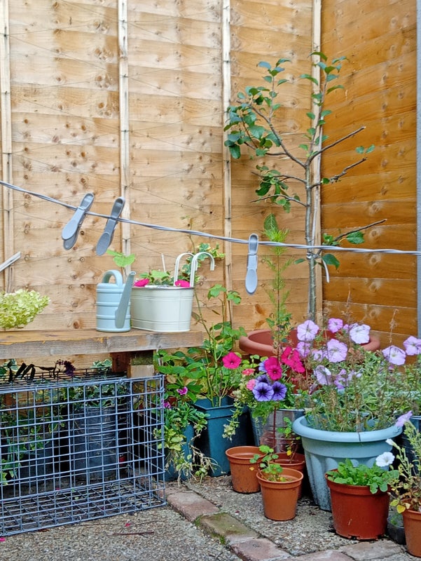 Photo 1: Garden