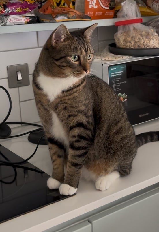 Photo 1: Neumann checking health and safety