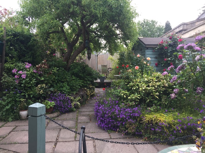 Photo 1: Patio/Garden