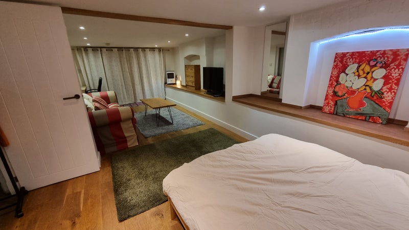 Photo 1: Large living and sleeping