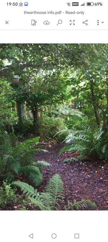 Photo 1: Garden