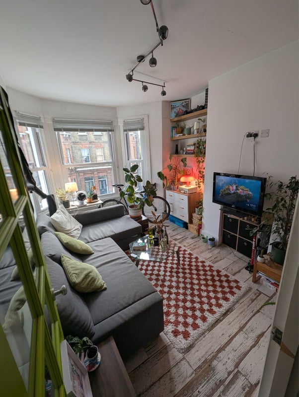 Photo 1: Living room with sofa (which is a pull out sofa bed)