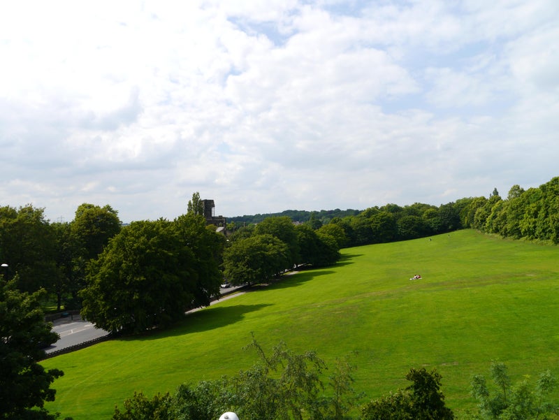 Photo 1: View from rear of house