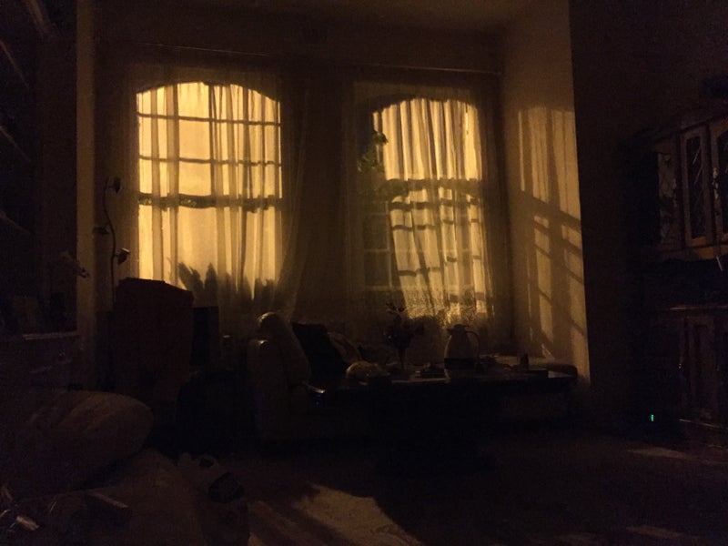 Photo 1: Windows overlooking the front yard