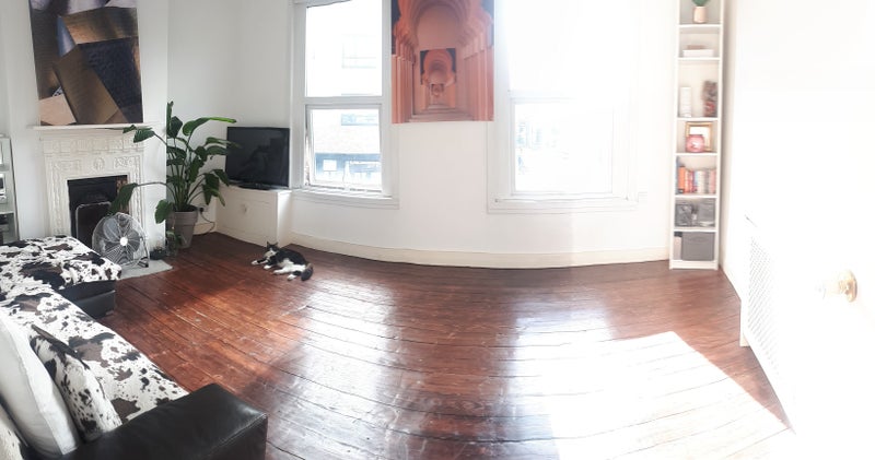 Photo 1: Room
