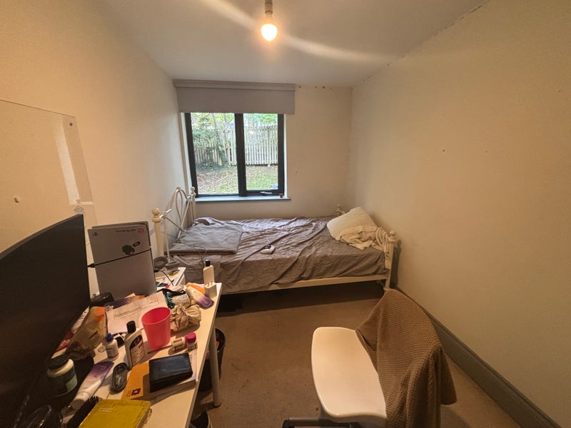 Photo 1: Room