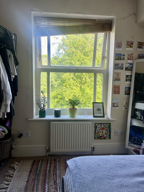 Photo 1: Your bedroom view 