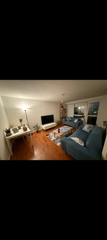 Photo 1: Living room
