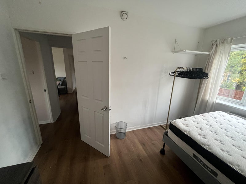 Photo 1: Bright room, natural light