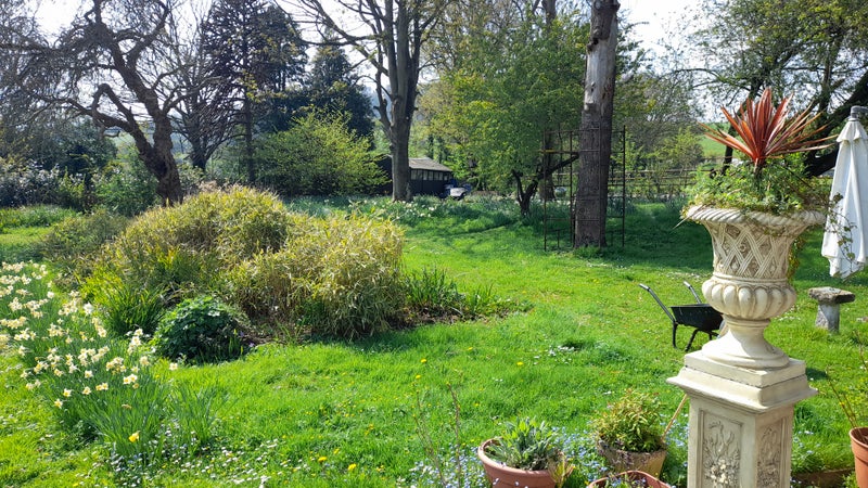 Photo 1: The Gardens