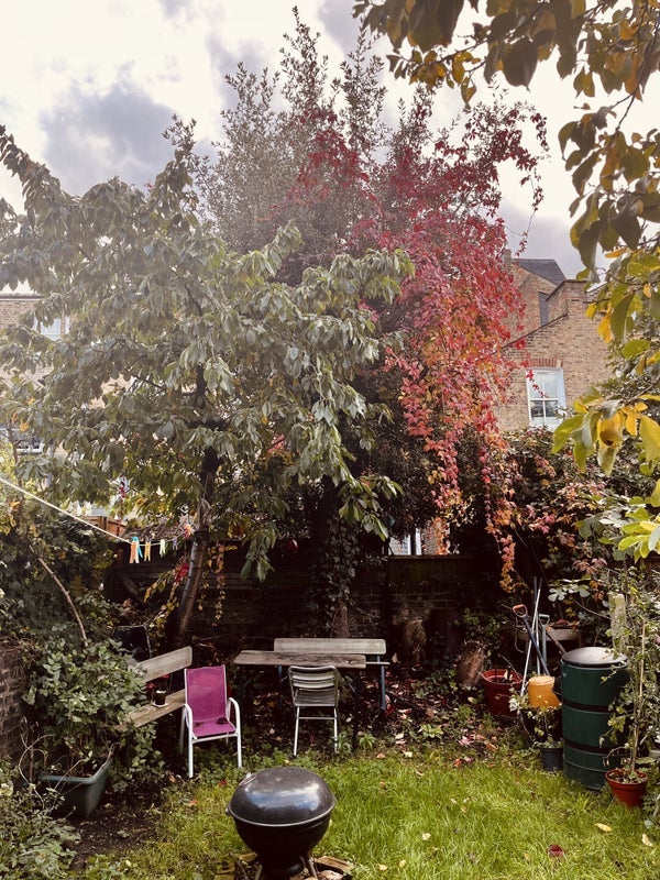 Photo 1: Garden + BBQ