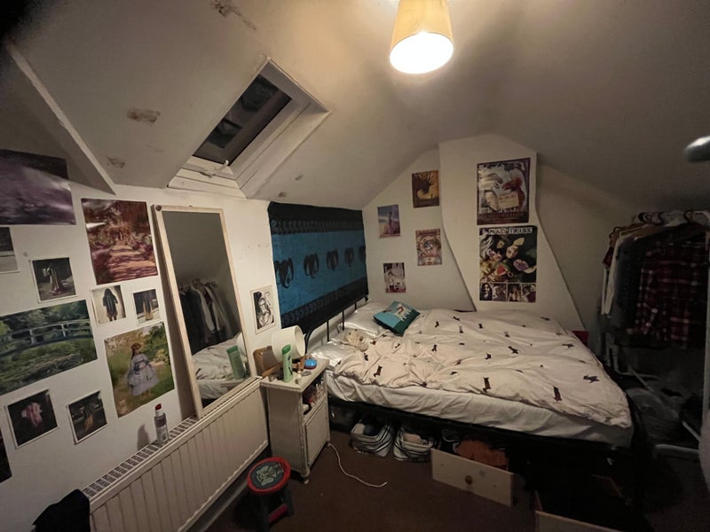 Photo 1: Room
