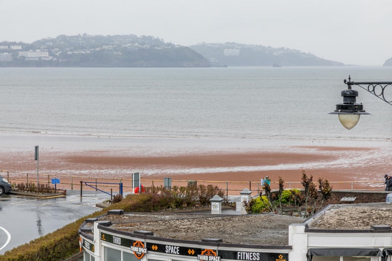 Photo 1: this the view!