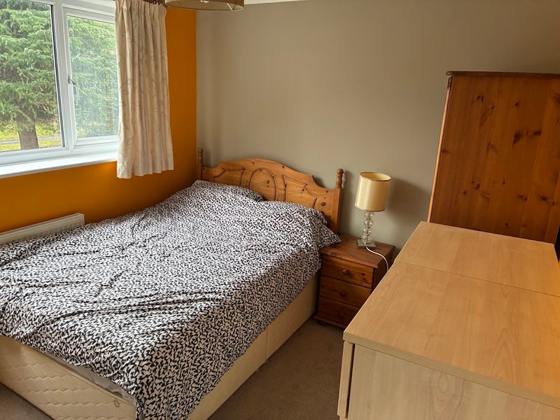 Photo 1: Bedroom for Rent