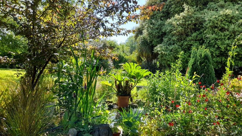 Photo 1: Garden Pond