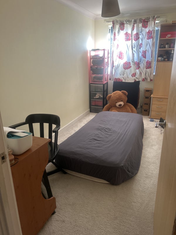 Photo 1: Single room to rent in Eastleigh 