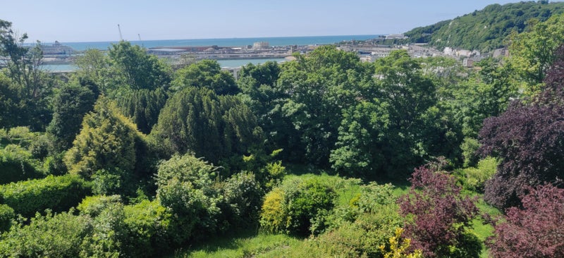 Photo 1: Room with a View