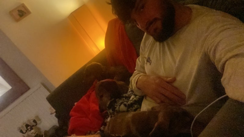 Photo 1: Not mt dogs 