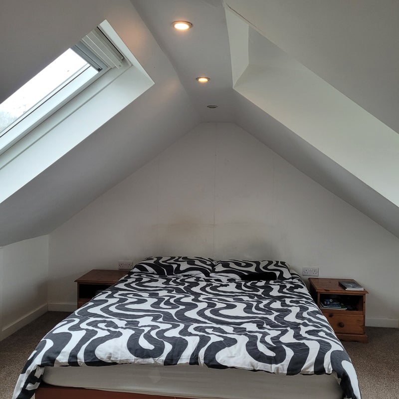 Photo 1: Loft bedroom with skylights