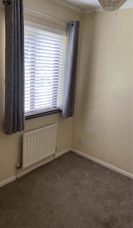 Photo 1: Single room 