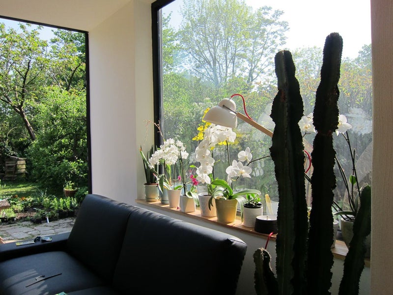 'Spacious Highbury Garden Flat' Room to Rent from SpareRoom