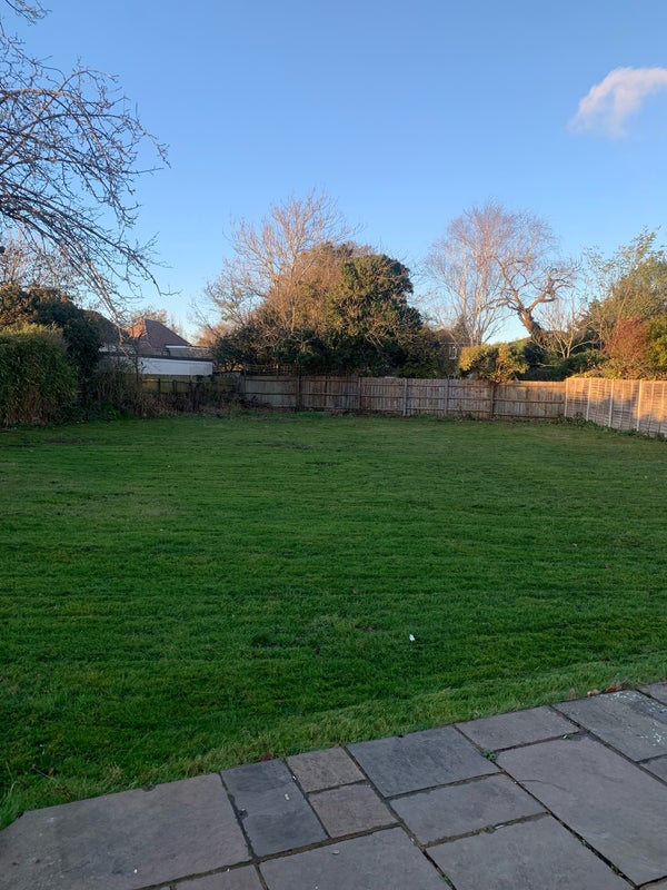 Photo 1: Rear Garden