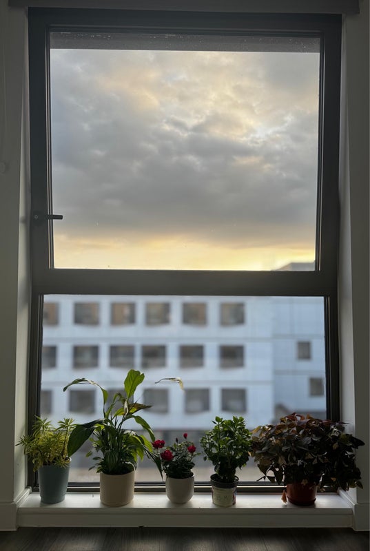 Photo 1: Window - Room