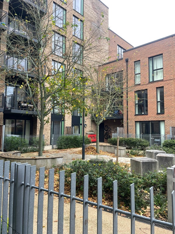 Photo 1: Shared backyard 