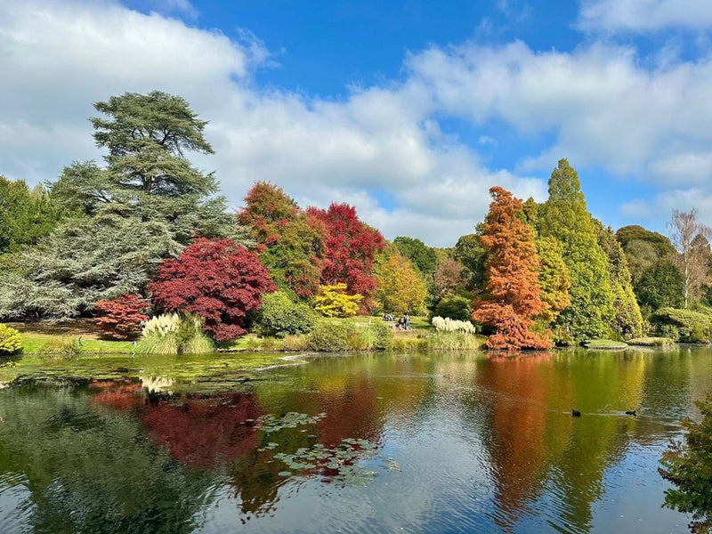 Photo 1: Beautiful walk by the park as well 