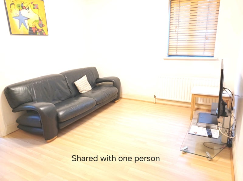 Photo 1: Living room, Shared with 1 finance flatmate, works in office all week/happy + in