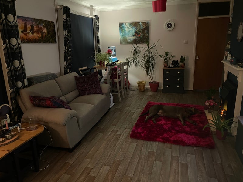 Photo 1: Living Room 