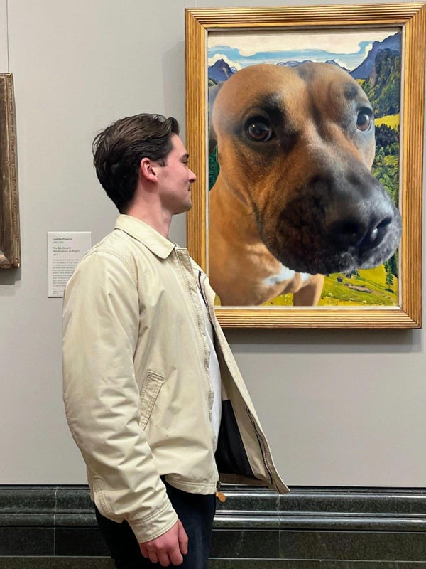 Photo 1: Putting my IT skills to good use - Photoshopped my goofy family dog into the National Gallery