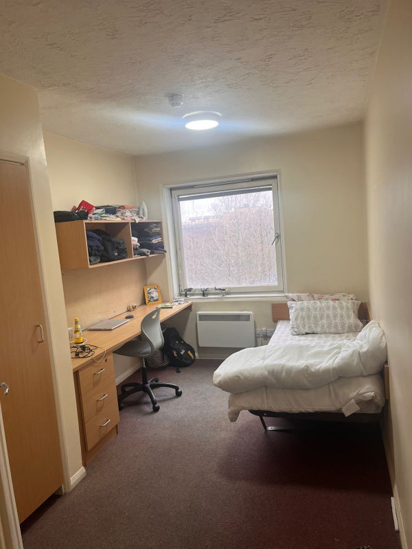 Photo 1: Single Ensuite Room