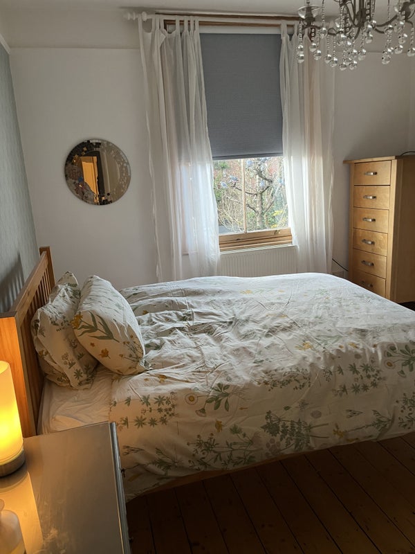 Photo 1: Room available 