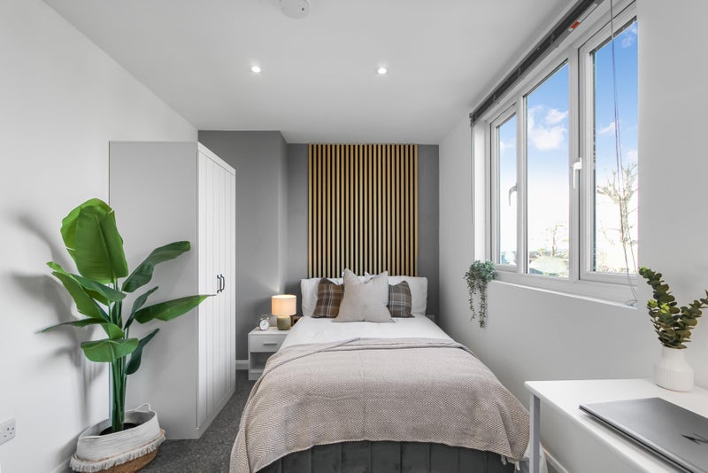 Photo 1: Brand new comfy double bed