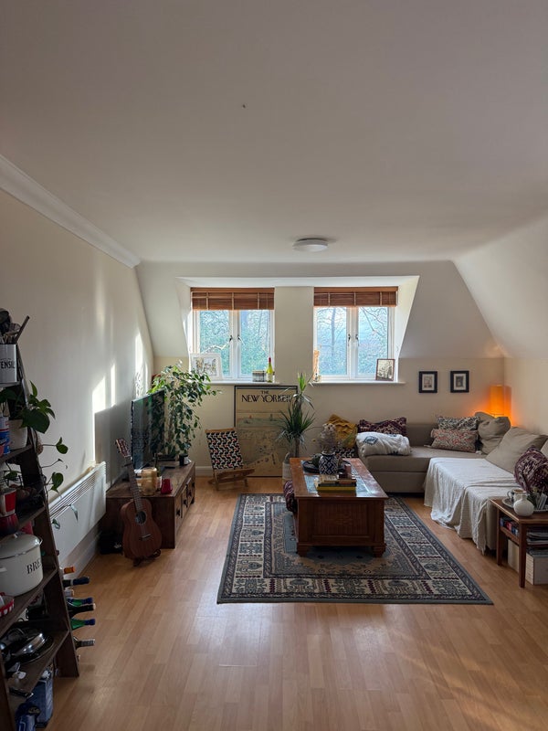 Photo 1: Large open plan living space with lots of natural sunlight and garden views 