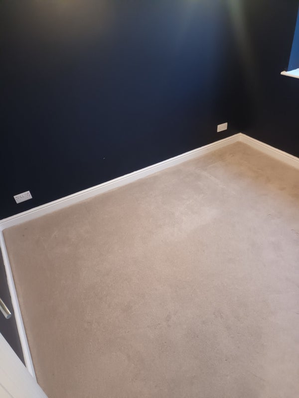 Photo 1: New carpeted room