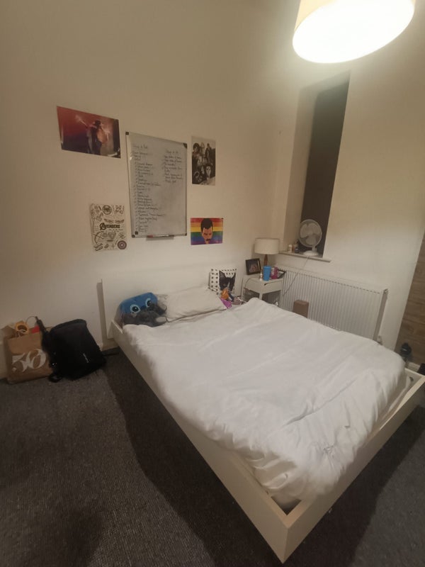 Photo 1: Bed and Window