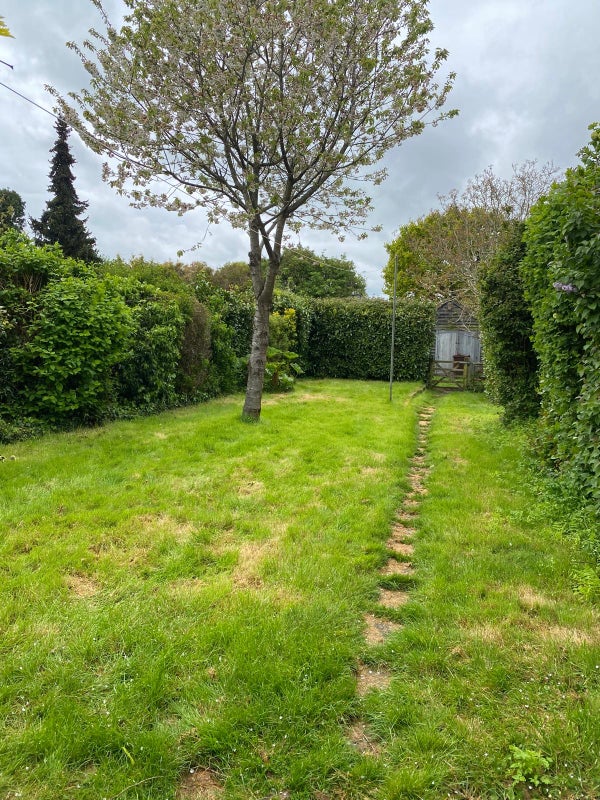 Photo 1: Rear Garden