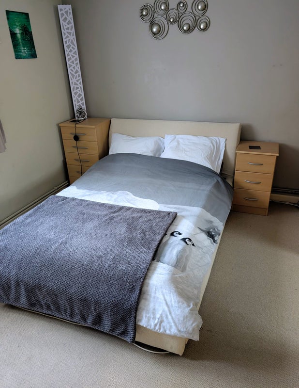 Photo 1: Spacious bedroom