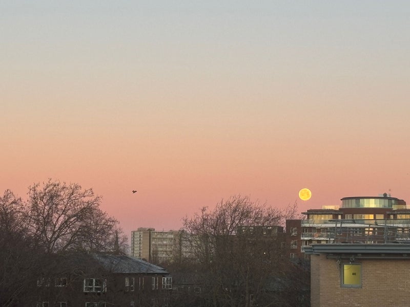 Photo 1: View from the room during sunset