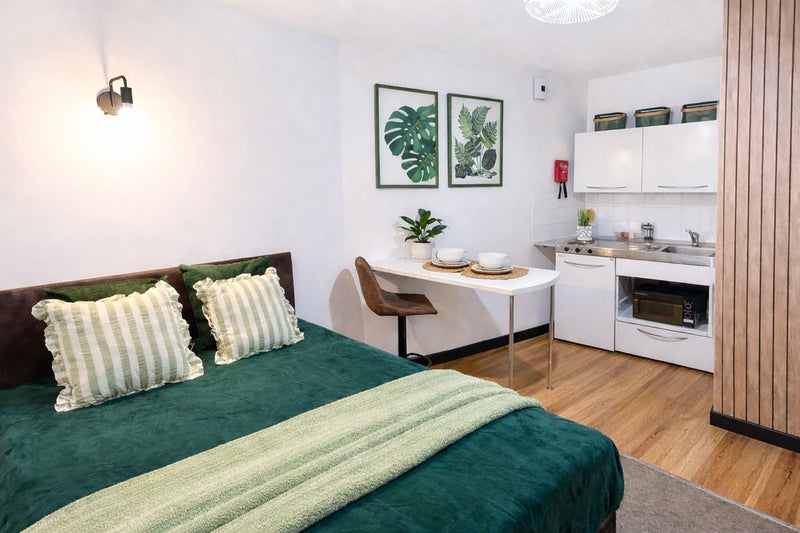 Photo 1: Double Studio Available Now